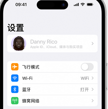 尚义appleID维修服务iPhone设置中Apple ID显示为灰色无法使用 