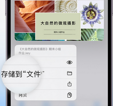 尚义apple维修中心分享iPhone文件应用中存储和找到下载文件