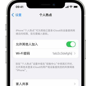 尚义apple服务站点分享iPhone上个人热点丢失了怎么办 