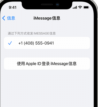 尚义apple维修iPhone上无法正常发送iMessage信息 