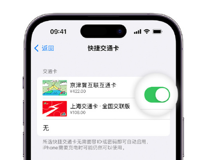 尚义apple维修点分享iPhone上更换Apple Pay快捷交通卡手绘卡面 