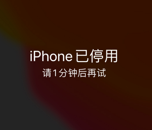 尚义苹果手机维修分享:iPhone 显示“不可用”或“已停用”怎么办？还能保留数据吗？ 