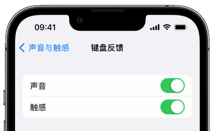 尚义苹果手机维修分享iPhone 14触感键盘使用方法 