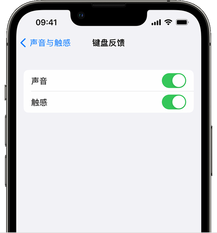 尚义苹果14维修店分享如何在 iPhone 14 机型中使用触感键盘 