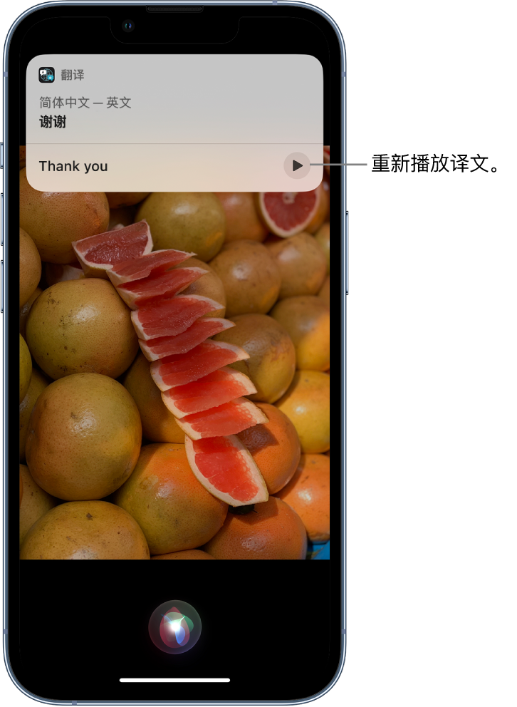 尚义苹果14维修分享 iPhone 14 机型中使用 Siri：了解 Siri 能帮你做什么 