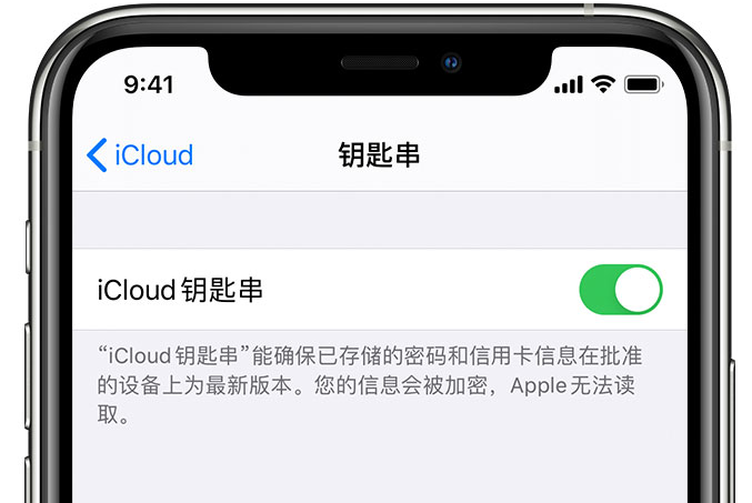 尚义苹果手机维修分享在 iPhone 上开启 iCloud 钥匙串之后会储存哪些信息 