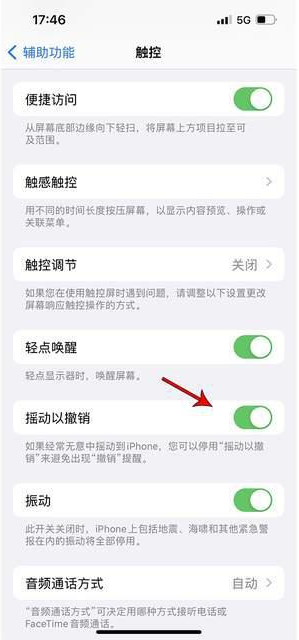 尚义苹果手机维修分享iPhone手机如何设置摇一摇删除文字 