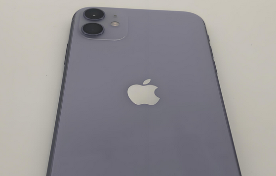 尚义苹果11系统维修分享iPhone11手机系统崩溃无法开机如何解决 